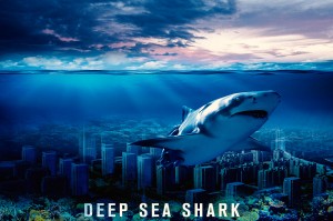 深海狂鲨手机版官方版游戏下载，深海狂鲨手机版安卓游戏下载