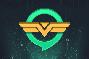 奇游加速器官方正版下载，奇游加速器官方正版免收费下载安装