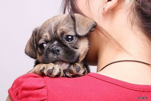 心理养生大全 ， 心理健康养生文官方版游戏下载，心理养生大全 ， 心理健康养生文安卓游戏下载