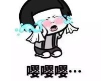 彼尔德鸟qq表情包迷你版下载，彼尔德鸟qq表情包迷你版免收费下载安装