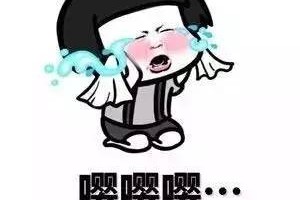 彼尔德鸟qq表情包迷你版下载，彼尔德鸟qq表情包迷你版免收费下载安装