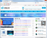 闪游浏览器官方正式版下载，闪游浏览器官方正式版免收费下载安装