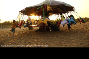 国家地理官方版游戏下载，国家地理安卓游戏下载