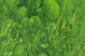 孕育之家 v2.2 安卓版下载，孕育之家 v2.2 安卓版免收费下载安装