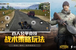 和平精英大飞透视自瞄辅助官方版游戏下载，和平精英大飞透视自瞄辅助安卓游戏下载