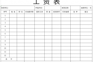 工资单表格下载，工资单表格免收费下载安装