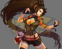 dnf武神极致强拳_dnf武神好玩还是武极