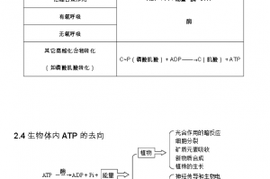 高中生物必考327个知识点大全下载，高中生物必考327个知识点大全免收费下载安装