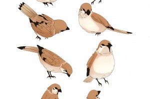 手游版角色麻雀怎么玩，手游版角色麻雀怎么玩的