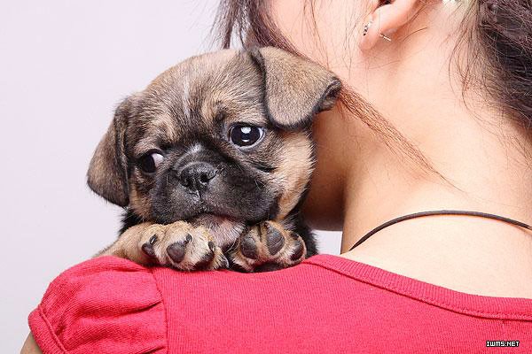 心理养生大全 , 心理健康养生文官方版游戏下载,心理养生大全 , 心理健康养生文安卓游戏下载